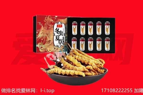丽水莲都区回收虫草.jpg